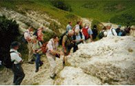 Dorset Geologists' Association Group