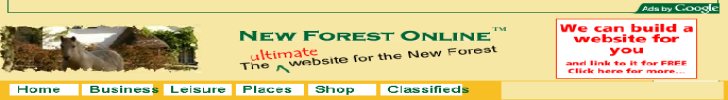 New Forest OnLine