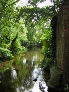 The Upper Millstream and Stour Valley